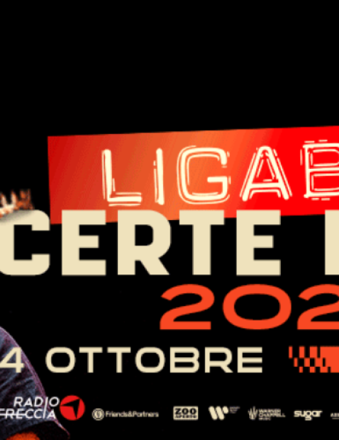 Ligabue Live SantaGIulia Dome Milano